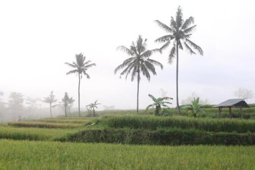 Agus Hidden Homestay - Banjar Sweet Village