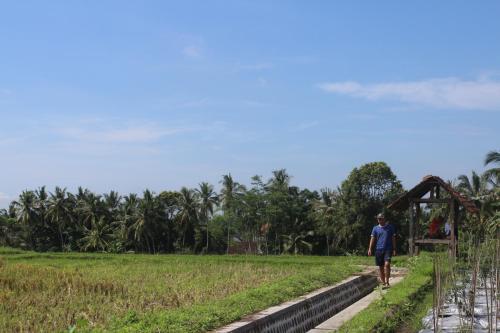 Agus Hidden Homestay - Banjar Sweet Village