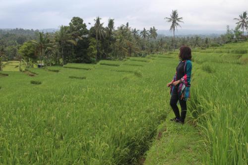 Agus Hidden Homestay - Banjar Sweet Village