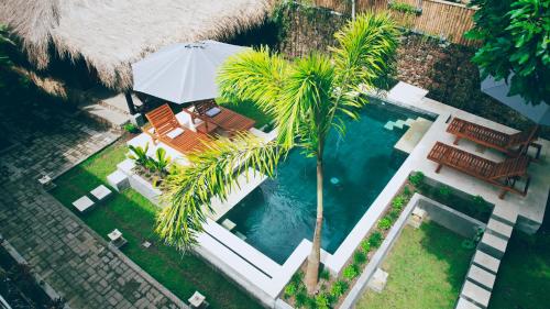 Dalai Tropical, Lombok