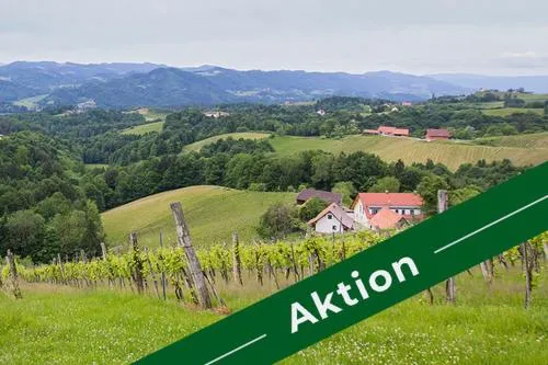 Weingut - Gästezimmer Resch Ludwig vlg. Powoden in Leutschach, Österreich