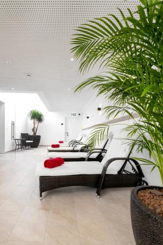 Sauna, Hotel INCLUDiO in Innenstadt
