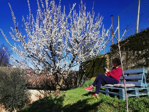 Casa Graziella- appartamenti vacanze