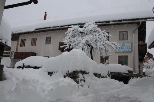 Apartments & Hostel Bohinj