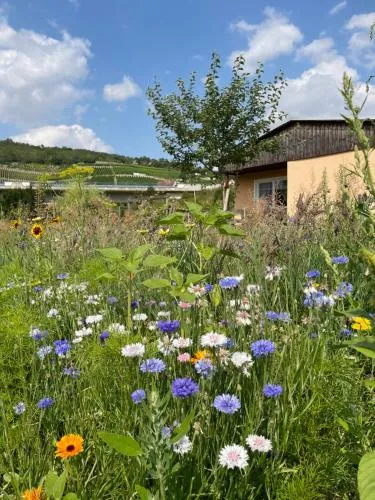 Ferienhaus Gutedel in Freyburg Unstrut, Deutschland