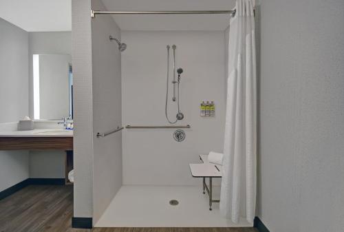 Holiday Inn Express Houston Galleria Area By IHG - image 12