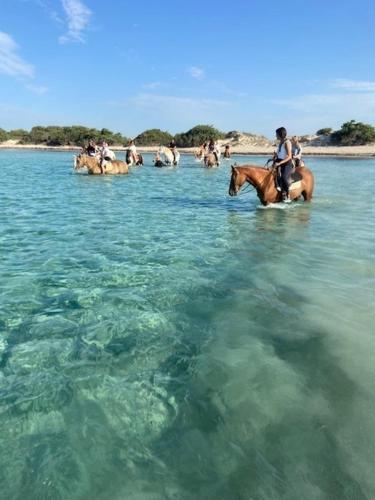 Salento-CasaBelmare