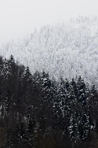 Alpska kuća Klek