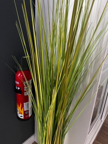 Ferienappartement Paula im Lausitzer Seenland