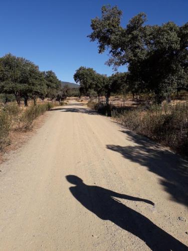 A környék, Casa Tía Daniela AT CC- 00937 (Casa Tia Daniela AT CC- 00937) in Canaveral