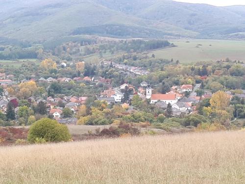 Patak Üdülőház (Ferienhaus)