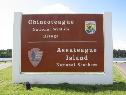Chincoteague Inn - image 5