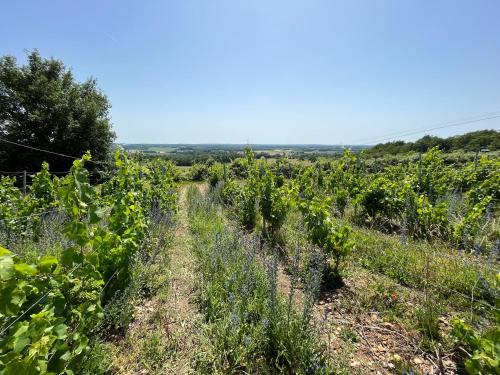 Domaine du Banaret - authentic stone house at the heart of Périgord Vert