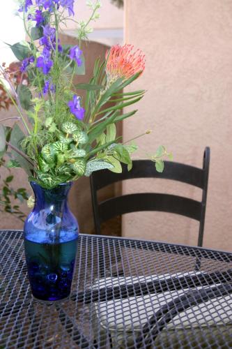Chocolate Turtle B&B Albuquerque (NM)