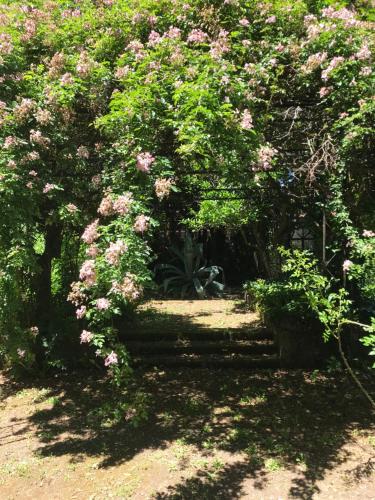La Gallina Felice B&B – Piano di Sorrento, CO