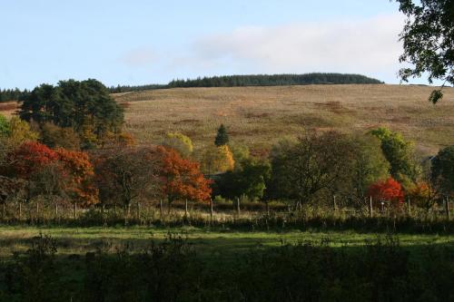 Falstone Barns