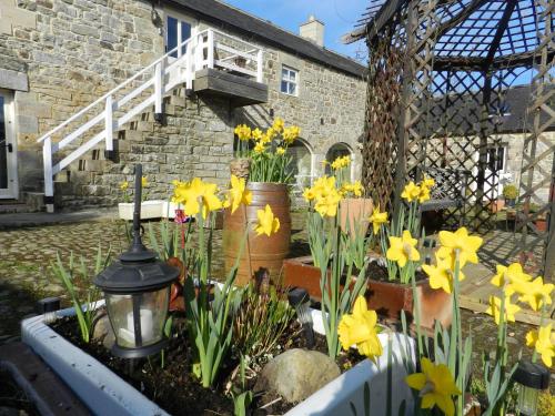 Falstone Barns Falstone