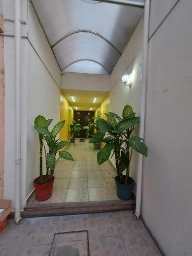 Casa El Colibrí CEC in Tehuacán, Mexico
