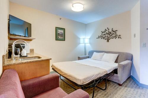 2 queen beds, 1 sofa bed