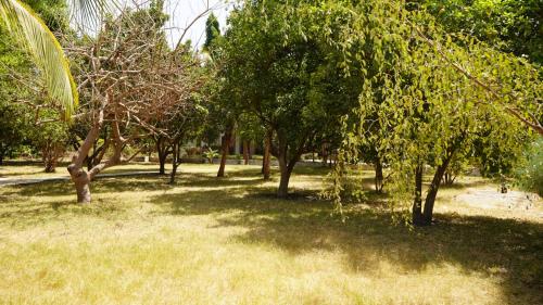 花園, Maajob Resort in 雲杜姆