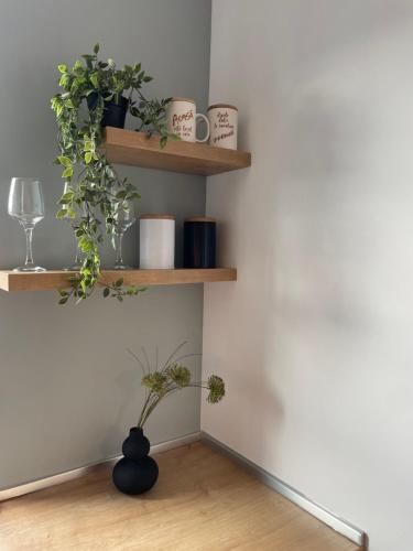 Minimalist 3 Studio Brasov Minimalist 3 Studio Brasov