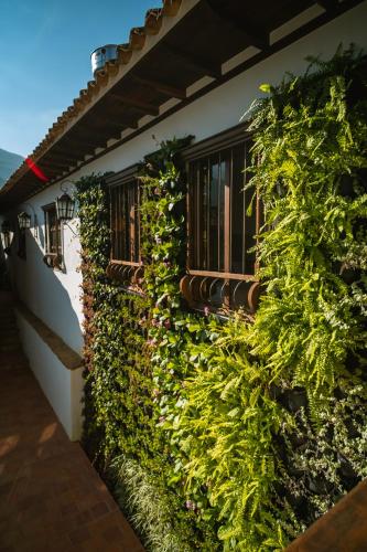 Eksterijer hotela, Hotel Casa Alcestre in Villa De Leyva
