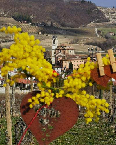 Agriturismo Mondo