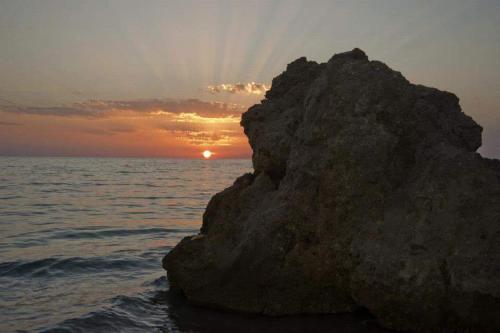 Serpa Hotel - image 13