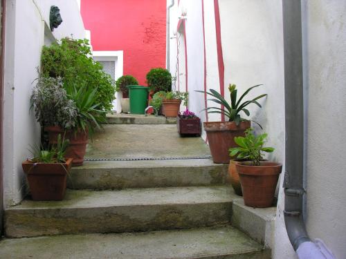Hotel Saint Amant