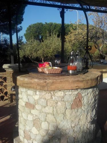 Avocado B&B Beyond - image 12