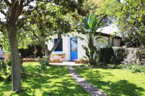 Avocado B&B Beyond - main image