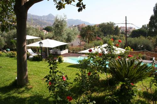 Avocado B&B Beyond - image 5