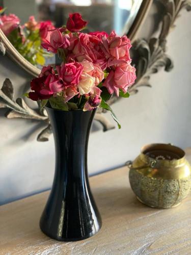 库拉酒店 库拉酒店