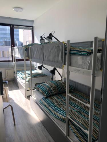 Bunk Bed in 12-Bed Mixed Dormitory Room