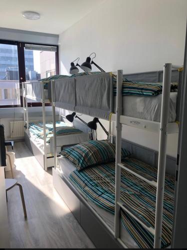 Bunk Bed in Mixed Dormitory Room