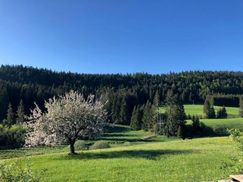 Appartement 6/8 personnes in Brey-et-Maison-du-Bois