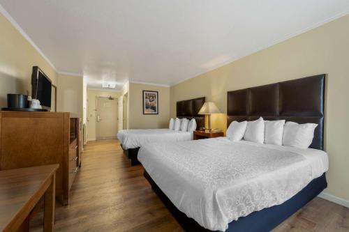 Best Western Plus Northwoods Inn image 6