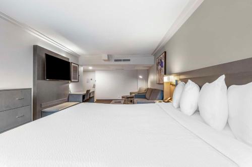 1 king bed, 1 sofa bed