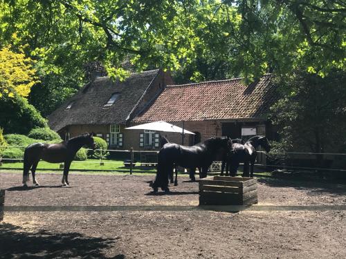 de Swaenhoeve - Location saisonnière - Zoersel