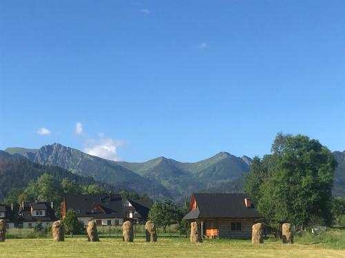 Villa jumper widok na całe Tatry łazienka nie jest w pokoju i jest wspólna z innymi ludźmi, Zakopane (fotografie 4)