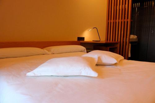Hotel Raíz in Roa