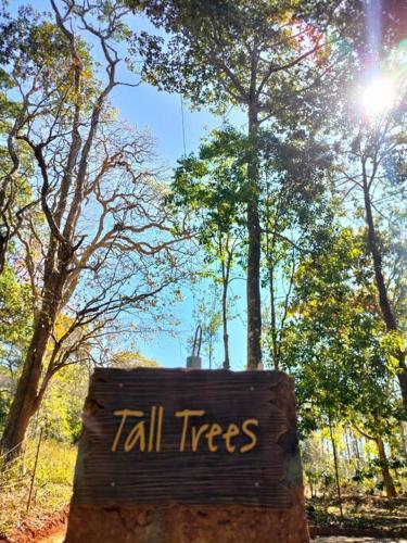 Tall Trees - Modern forest Villa in Wayanad