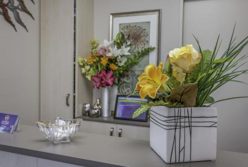 Front desk [24-hour]