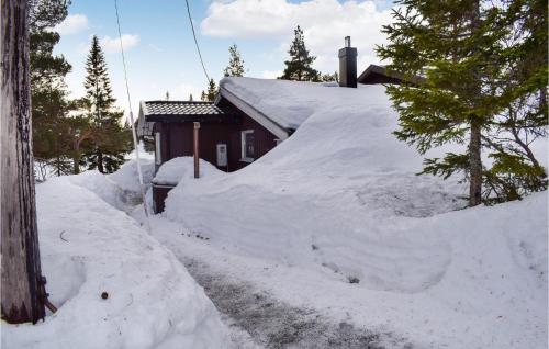 Amazing Home In Passebekk With 3 Bedrooms