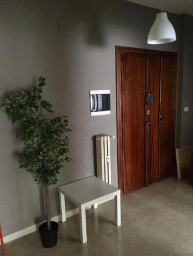 La mia casa di Roma, Řím (fotografie 7)