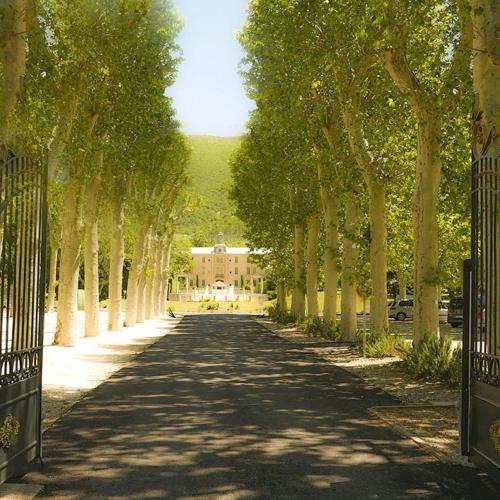 Le Parc château Gipieres - Location saisonnière - Montbrun-les-Bains