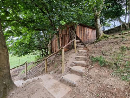 Tree House, Aberaeron