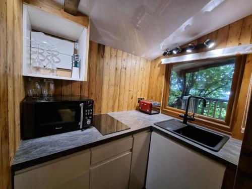 Tree House, Aberaeron (zdjęcie 8)