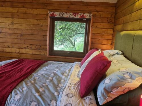 Tree House, Aberaeron (zdjęcie 10)