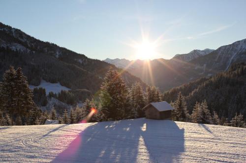 Bergfee Natur Appartements